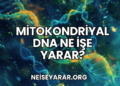 Mitokondriyal DNA Ne İşe Yarar