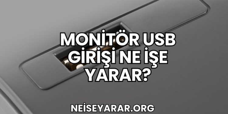 Monitör USB Girişi Ne İşe Yarar?