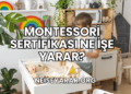 Montessori Sertifikası Ne İşe Yarar?