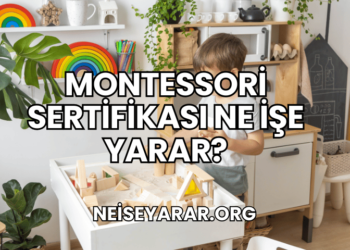 Montessori Sertifikası Ne İşe Yarar?
