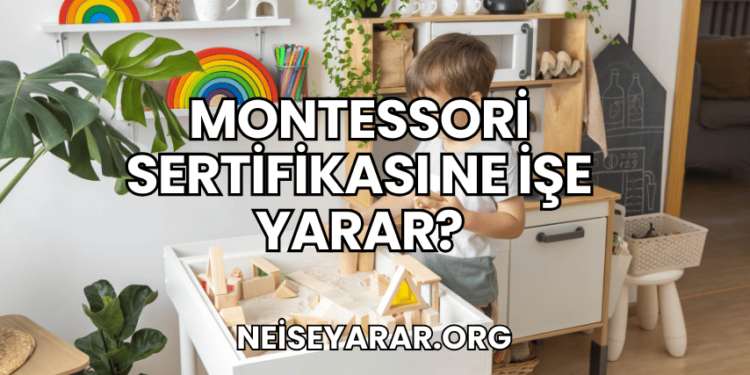 Montessori Sertifikası Ne İşe Yarar?