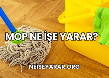 Mop Ne İşe Yarar?
