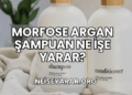Morfose Argan Şampuan Ne İşe Yarar?