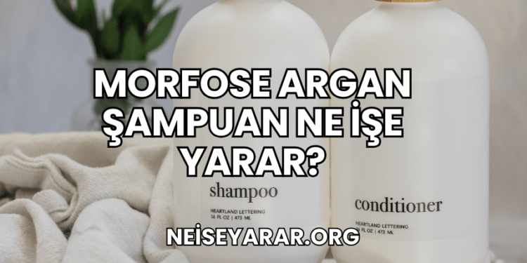 Morfose Argan Şampuan Ne İşe Yarar?