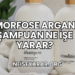 Morfose Argan Şampuan Ne İşe Yarar?