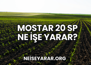Mostar 20 SP Ne İşe Yarar?