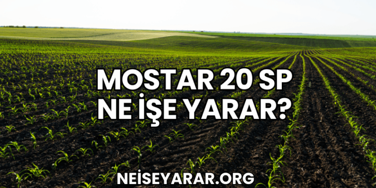 Mostar 20 SP Ne İşe Yarar?