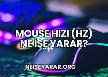 Mouse Hızı (Hz) Ne İşe Yarar