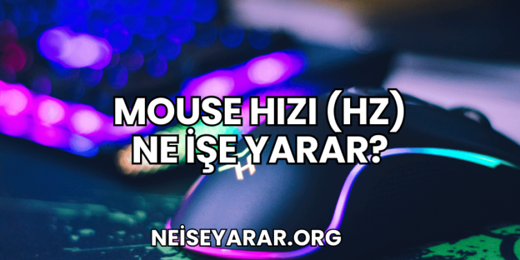 Mouse Hızı (Hz) Ne İşe Yarar