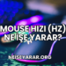 Mouse Hızı (Hz) Ne İşe Yarar