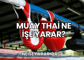 Muay Thai Ne İşe Yarar