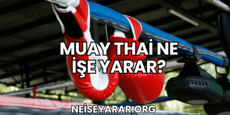 Muay Thai Ne İşe Yarar