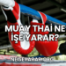 Muay Thai Ne İşe Yarar