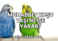 Muhabbet Kuşu Taşı Ne İşe Yarar?