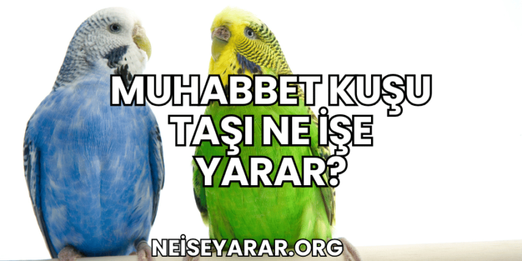 Muhabbet Kuşu Taşı Ne İşe Yarar?