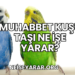 Muhabbet Kuşu Taşı Ne İşe Yarar?