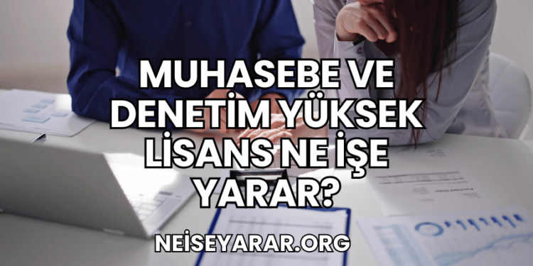 Muhasebe ve Denetim Yüksek Lisans Ne İşe Yarar?