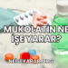 Mukolatin Ne İşe Yarar