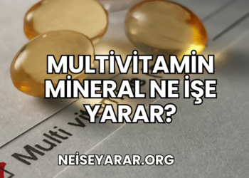 Multivitamin Mineral Ne İşe Yarar