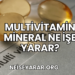Multivitamin Mineral Ne İşe Yarar