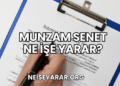 Munzam Senet Ne İşe Yarar?