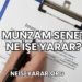 Munzam Senet Ne İşe Yarar?