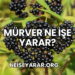 Mürver Ne İşe Yarar?