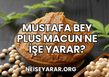 Mustafa Bey Plus Macun Ne İşe Yarar?