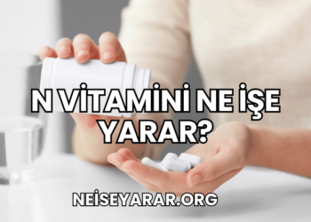N Vitamini Ne İşe Yarar?
