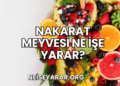 Nakarat Meyvesi Ne İşe Yarar?