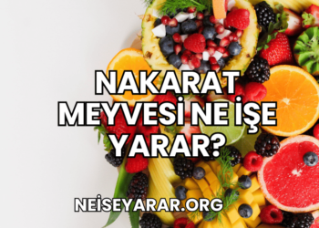 Nakarat Meyvesi Ne İşe Yarar?