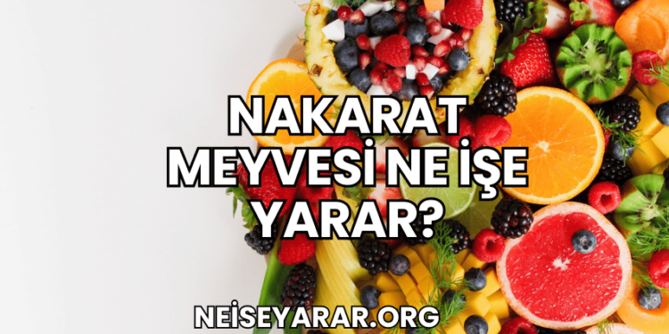 Nakarat Meyvesi Ne İşe Yarar?