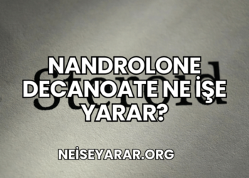 Nandrolone Decanoate Ne İşe Yarar