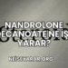 Nandrolone Decanoate Ne İşe Yarar