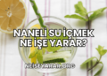 Naneli Su İçmek Ne İşe Yarar?
