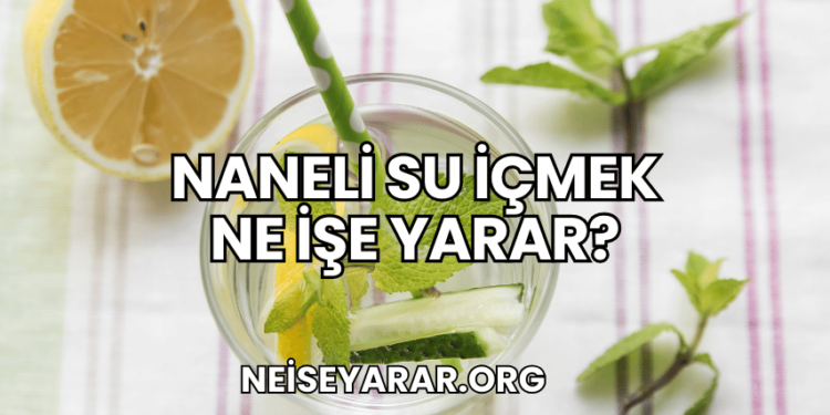 Naneli Su İçmek Ne İşe Yarar?