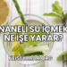 Naneli Su İçmek Ne İşe Yarar?