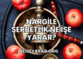 Nargile Şerbetlik Ne İşe Yarar