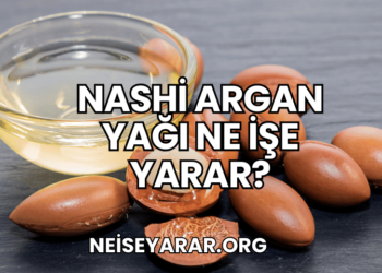 Nashi Argan Yağı Ne İşe Yarar?