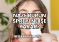 Naze Burun Spreyi Ne İşe Yarar?
