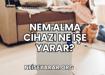 Nem Alma Cihazı Ne İşe Yarar