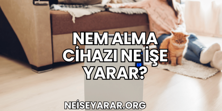 Nem Alma Cihazı Ne İşe Yarar