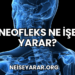 Neofleks Ne İşe Yarar?