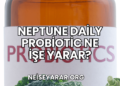 Neptune Daily Probiotic Ne İşe Yarar?