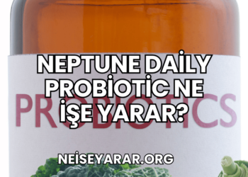 Neptune Daily Probiotic Ne İşe Yarar?