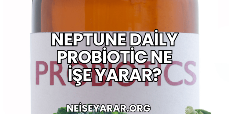 Neptune Daily Probiotic Ne İşe Yarar?