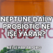 Neptune Daily Probiotic Ne İşe Yarar?