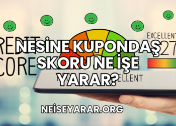 Nesine Kupondaş Skoru Ne İşe Yarar?