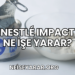 Nestlé Impact Ne İşe Yarar?