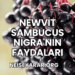 Newvit Sambucus Nigra'nın Faydaları